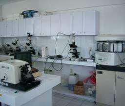 tejidos, refrigerador, microscopios ópticos