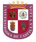 Pruebas de acceso a enseñanzas universitarias oficiales de grado Castilla y León MATEMÁTICAS II EJERCICIO Nº Páginas: INDICACIONES:.