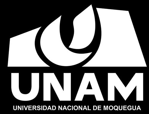 UNIVERSIDAD NACIONAL DE MOQUEGUA VICEPRESIDENCIA ACADÉMICA