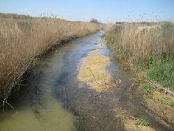 calidad del agua y la biodiversidad en cuencas agrícolas es un