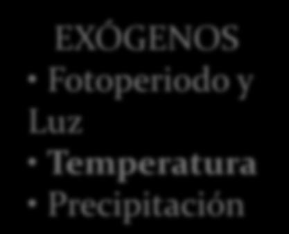 EXÓGENOS Fotoperiodo y Luz Temperatura Precipitación
