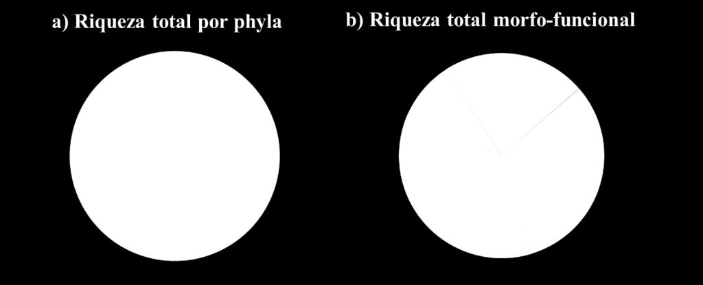 Las algas rojas (Rhodophyta) fueron las más abundantes con un 53% del total de las especies y según el grupo morfo-funcional las filamentosas alcanzaron el 32% de las especies, seguida por 26 % de