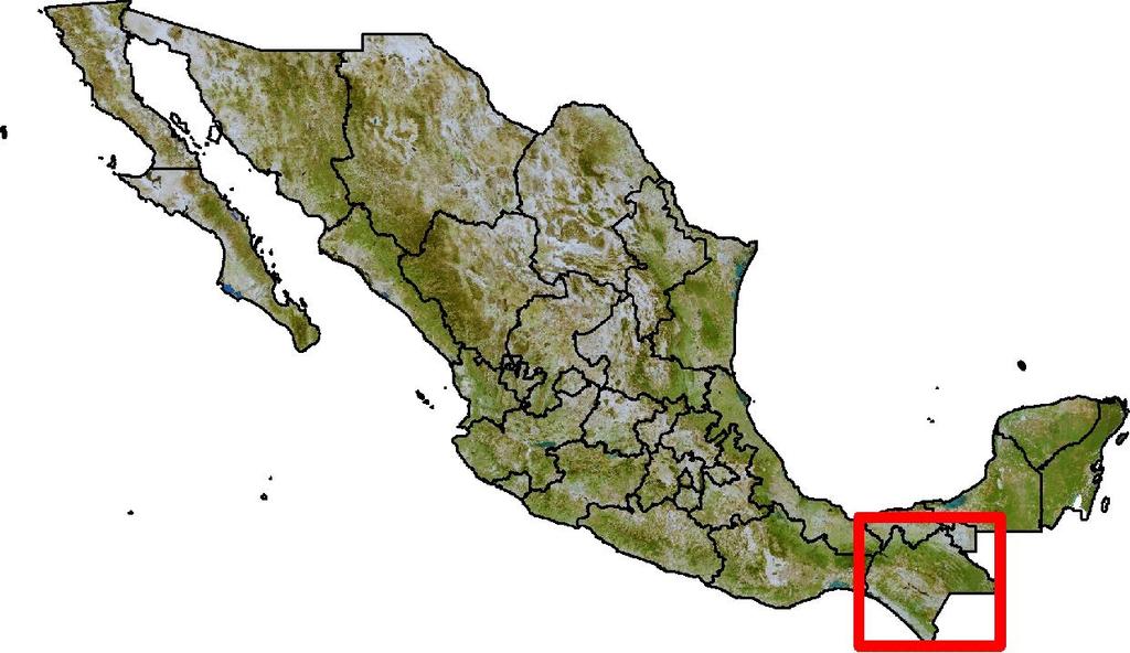 y a solo 2 km al noreste de la Cabecera Municipal de Ocozocoautla de Espinosa, Chiapas.