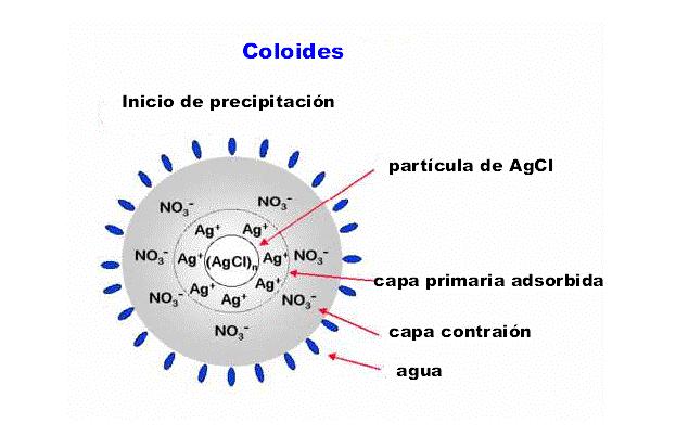 Cuanto mayor sea la concentración de Ag+ mayor será la partícula y mas estable es el coloide (difícil de flocular) Un exceso de cargas negativas provoca la atracción de moléculas de agua dando