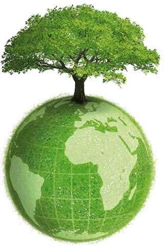 Beneficios Ambientales Mejor desempeño ambiental Reducción de la contaminación generada por la empresa Reducción de