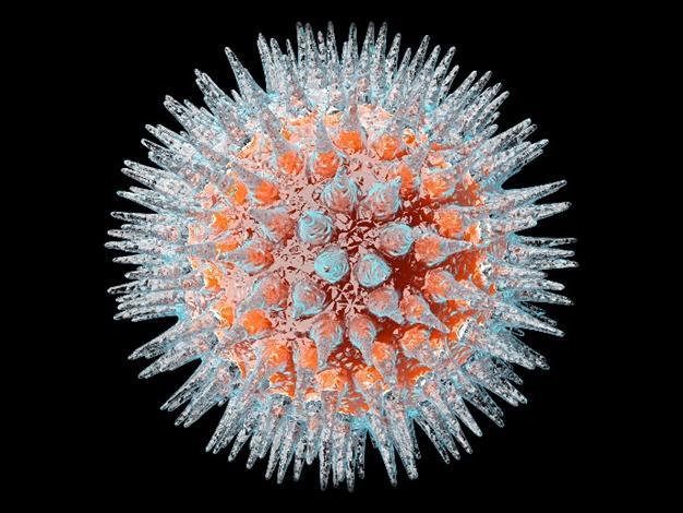 CMV: Generalidades Familia Herpesviridae Ubicuo Infección asintomática o enfermedad leve enfermedad grave RN e inmunodeprimidos