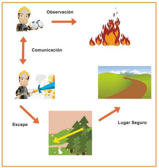 Parte 6. Incendios de vegetación Valoración de intervenciones en incendios forestales 5.3.