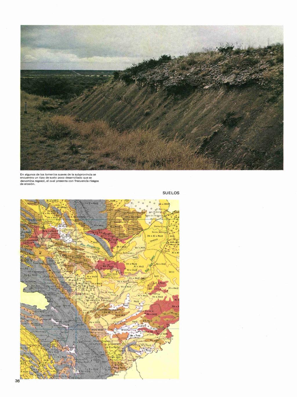 En algunos de los lomeríos suaves de la subprovincia se encuentra un tipo de suelo poco desarrollado que se denomina regosol, el cual presenta con frecuencia riesgos de erosión.
