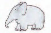 elefante Pinta las