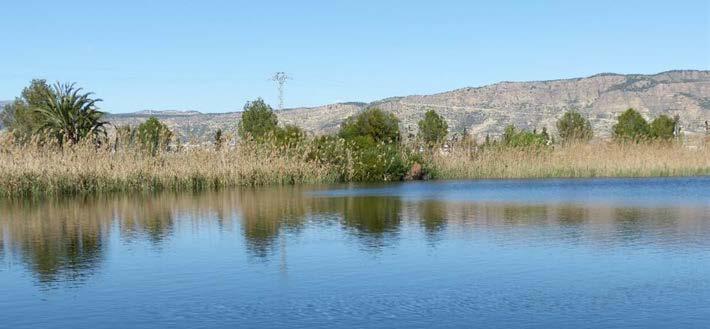 1.3. Lagunas de Alhama El humedal de las lagunas de Alhama, situado en el Término Municipal de Alhama de Murcia, se localiza junto a la Rambla de las Salinas, y está compuesto por dos balsas de