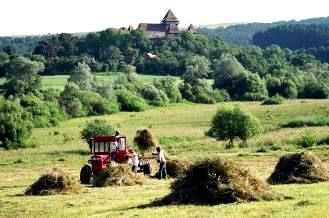 Casos de estudio Apoyo a la agricultura en Transilvania, Rumanía - Servicio de asesoramiento conjunto (administración, ONG, comunidad local) - Ayudar a los