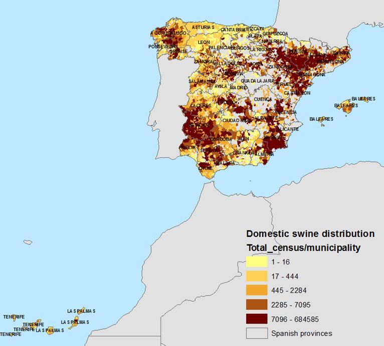 Población porcina en España