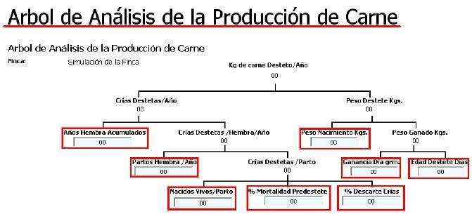 SIMULADOR PRODUCCIÓN DE CRIA Y CEBA 1.