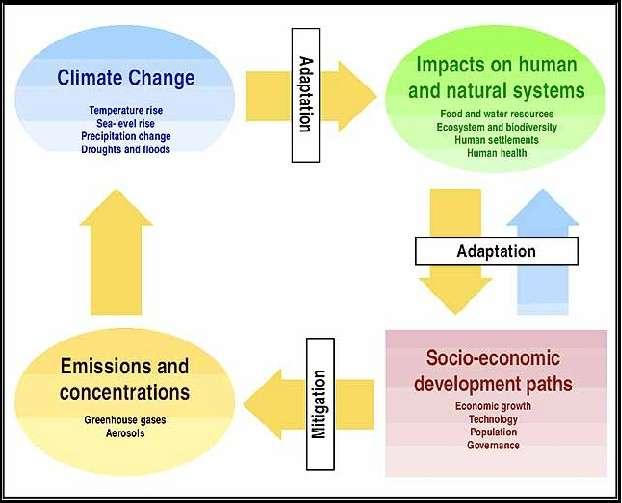 Mitigación Medidas nacionales Cambio Climático Temperatura Cambio de nivel del mar Cambios precipitación Sequías e inundaciones Adaptación Impactos en Sistemas Naturales y Humanos Recursos comida y