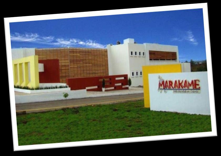El Instituto MARAKAME fundamenta su funcionamiento en un modelo multidisciplinario, residencial, de corta estancia (35 días a 45 días) que abarca desde el tratamiento de los cuadros de