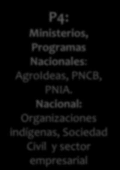 Programas Nacionales: AgroIdeas, PNCB, PNIA, otros.