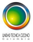 Coordinadores regionales UTO: (Apoyan las actividades definidas en la reunión de planeación) - Charlas de sensibilización - Celebraciones de la preservación de la capa de ozono en las regiones