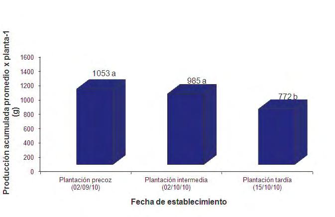 III) Evaluación de la fecha de plantación Promedios con la misma letra no son diferentes estadísticamente (p 0,05),