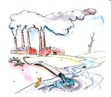 Cu CuáL es el problema? Contaminación cambio indeseable en el ambiente que causa daño a los seres vivos.