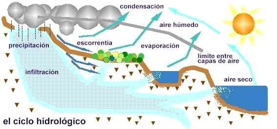 Ciclo del agua Componentes: la lluvia la infiltración la