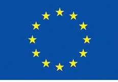 Uso emblema UE Las mismas características técnicas que en 2007-2013. Tiene que tener el mismo tamaño que el logo más grande que lleve el cartel o documento.