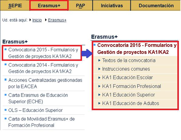 PUBLICACIÓN DE LA CONVOCATORIA 2015 Formularios,