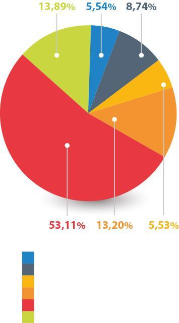 FMG Causas por Región FMG Latam 12,71% El CD no