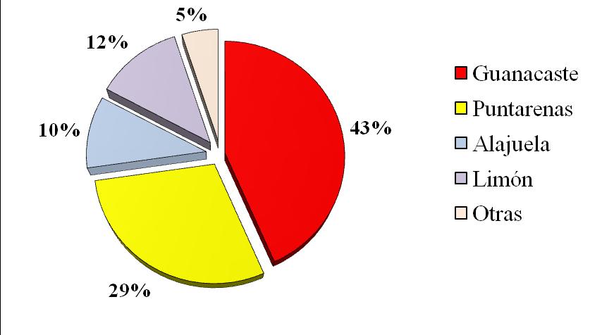 Guanacaste fue la que presentó la mayor cantidad de fincas con 39% (34), seguida de Puntarenas y Alajuela con 23% (20) y 18 % (16), respectivamente.