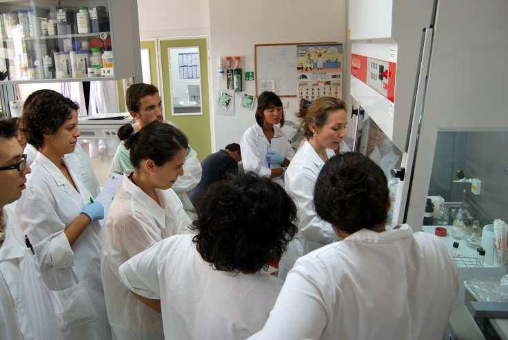 2012: 8 cursos 6 en Huelva,