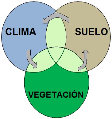 INTRODUCCIÓN (2) Interacción Clima Suelo - Vegetación HUMEDAD DEL SUELO Estudio de su comportamiento temporal y su relación con las coberturas vegetales Modelo del Balance Hídrico en un Punto