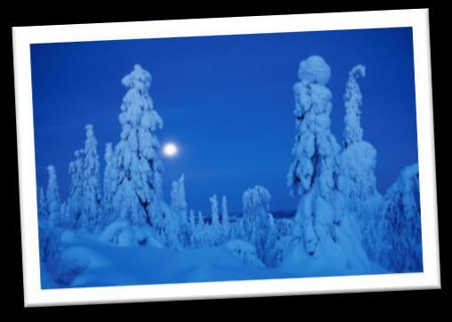 También os proponemos aprender a deslizarse por los caminos nevados de Laponia como llevan tiempo haciéndolo los locales; con esquís de fondo.