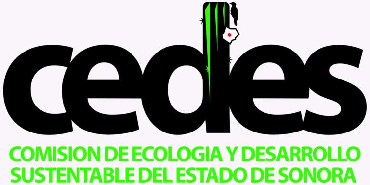 www.cedes.