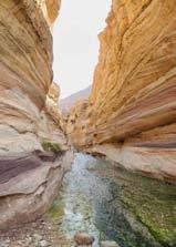 JORDANIA 9 Días Fin de Año Senderismo Wadi Rum 27Dic En esta ocasión te proponemos un viaje por Jordania diferente.