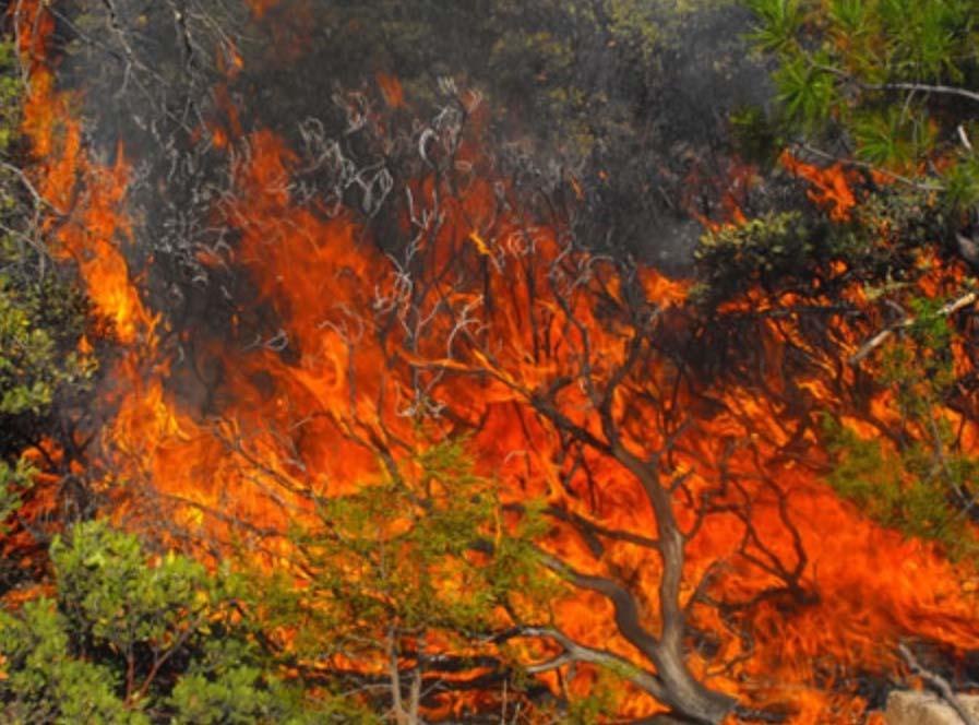 Aplicación de Análisis Territorial en el Riesgo de Incendios Forestales en el