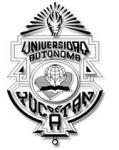 Universidad Autónoma de Yucatán Facultad de Matemáticas Aplicación de las Bases de Gröebner a la