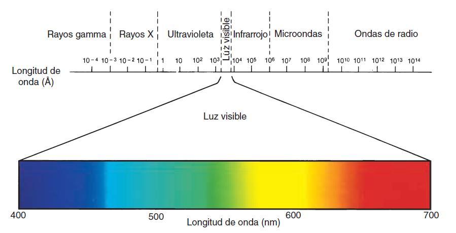 Espectro electromagnético La longitud de