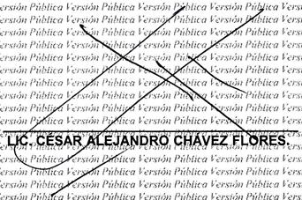 334/2009 Así lo resolvió y firma el licenciado CÉSAR ALEJANDRO CHÁVEZ FLORES, Director General de Controversias y Sanciones en Contrataciones