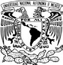 UNIVERSIDAD NACIONAL AUTÓNOMA DE MÉXICO SECRETARÍA DE SERVICIOS A LA COMUNIDAD DIRECCIÓN GENERAL