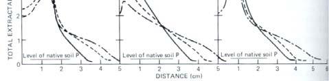 g) (x 1 mg/kg) P extractable (mg/g Distribución del P en columnas de suelo tratadas con SFT, FDA y PFA (Khasawneh et al.