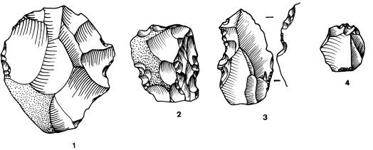 148 CAPITULO 10 Fig. 10.14. Denticulados y varios. la cara superior e inferior (2 y 1 respectivamente).