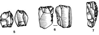 Entre ellas destacamos 3 ejemplares que han podido ser utilizados como perforadores (muestran pequeños golpes en el borde opuesto, Fig. 10.13. n.