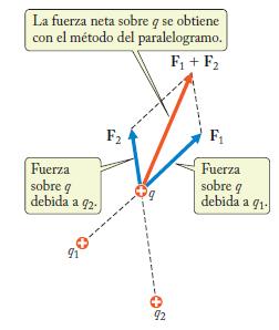 Principio de superposición de fuerzas eléctricas: La fuerza neta sobre q se obtiene calculando la suma vectorial de las fuerzas individuales Dos cargas