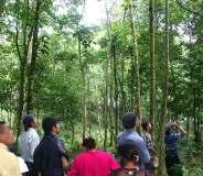 Preservación de la biodiversidad en 3,198 ha de bosque tropical, en el que conviven mas de 120 especies de árboles, 135 variedades de