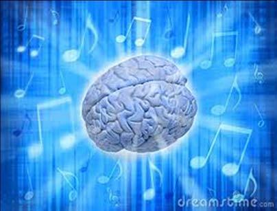 MUSICA favorece las 4 áreas específicas del cerebro: ÁREA SENSORIAL: recibe la información del ambiente interno y