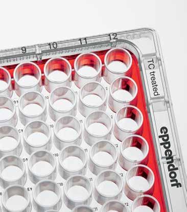 Eppendorf Cell Culture Plates Experimente la conveniencia y seguridad sin precedentes para sus experimentos de cultivo celular basados en placas.