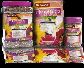 Florescencia 10-30-10 Fertilizante granulado para plantas de flor.