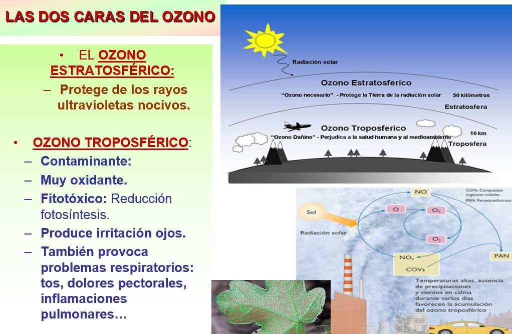 LA CAPA DE OZONO se encuentra EN LA ESTRATOSFERA y no protege de la radiación