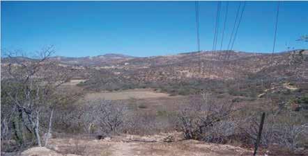 Predio Polígono D-8 Oeste Fracción 4 Los Cabos, Baja California Sur SUPERFICIE F-4: