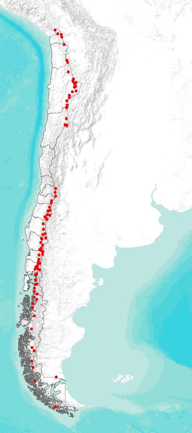 Volcanes activos de Chile