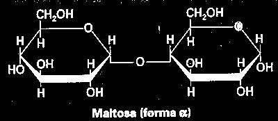 D I S A C Á R I D OS Carbohidratos Disacáridos Azúcares (glúcidos) formados por dos moléculas de monosacáridos unidas mediante enlace glucósídico (enlace covalente).